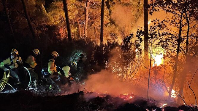 Bomberos se enfrentan a las llamas en Sierra Bermeja.