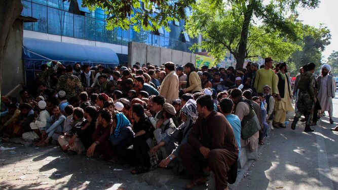 Una multitud de hombres espera para retirar dinero de una sucursal bancaria en Kabul.