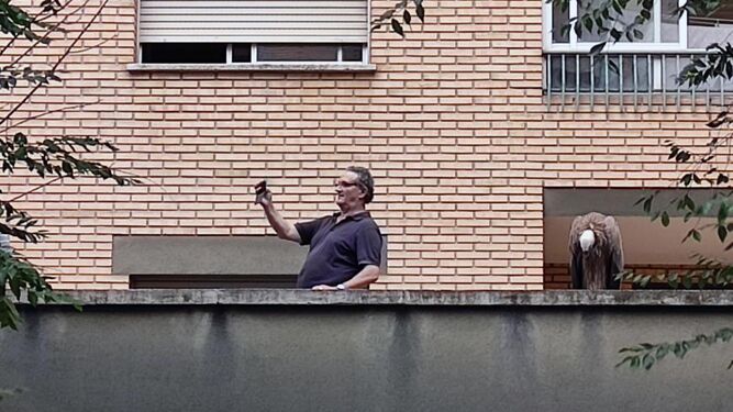 Un hombre se hace un selfie con un buitre en su azotea de Huesca