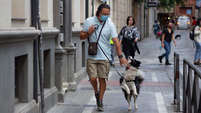 Un hombre pasea con su perro