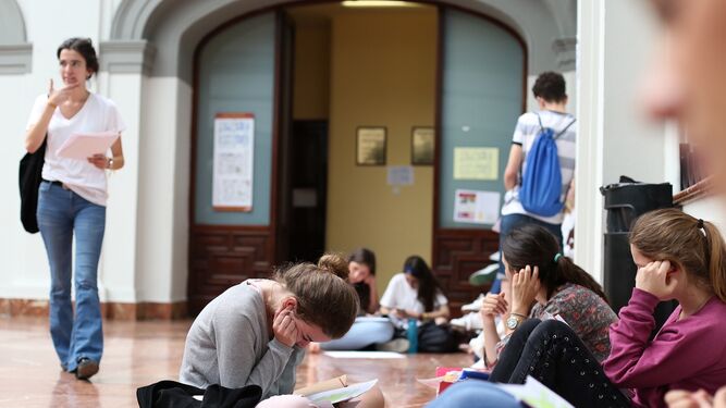 Varios estudiantes de la US repasan los apuntes antes de un examen.