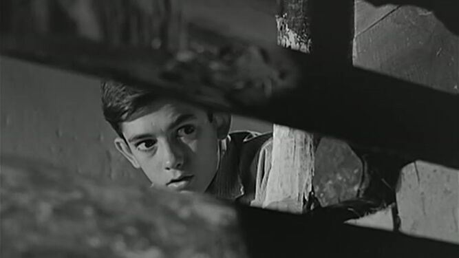 José A. Mejías, el niño protagonista de 'El Camino'.