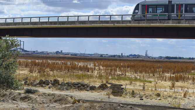 El viaducto del Metro junto a los terrenos de la dehesa de Tablada.