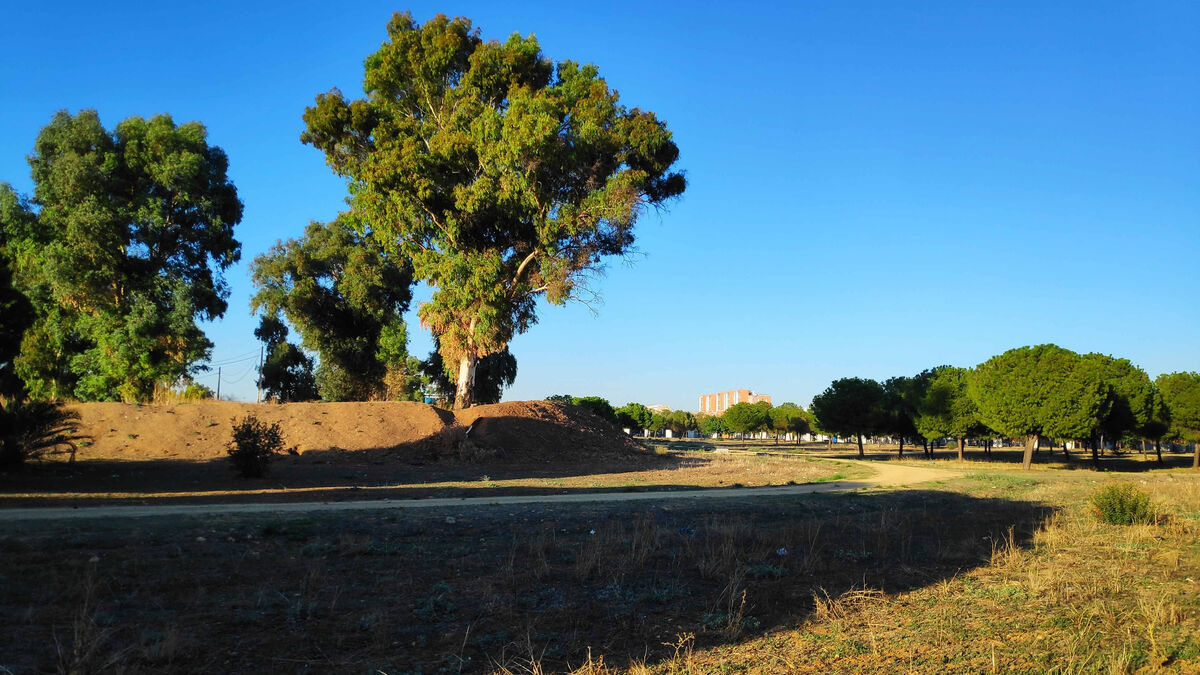 El ‘muro’ divide el Parque Norte en dos espacios, la zona verde y el asentamiento.