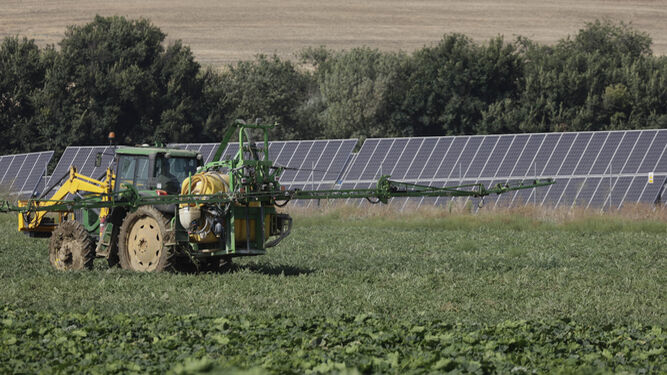 Placas solares en una explotación agraria