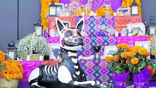 Las ofrendas más bonitas del Día de Muertos de las mascotas en México