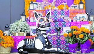 El perro xoloitzcuintle: símbolo de México y guía de los muertos
