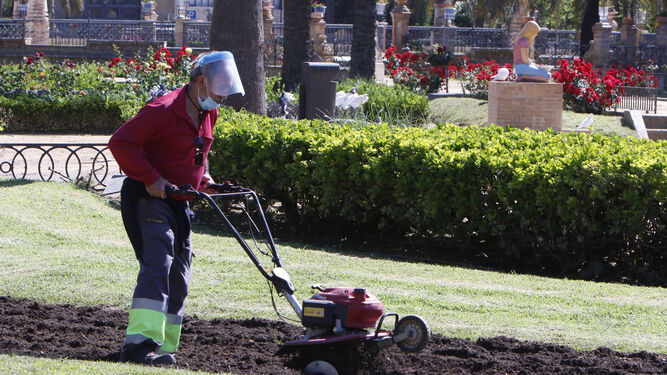 Un jardinero municipal trabaja en el césped del Parque de María Luisa.