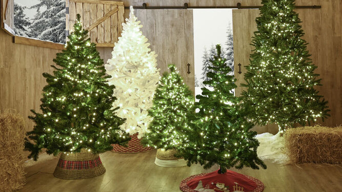 acceso Aditivo perder Los 10 mejores árboles de Navidad