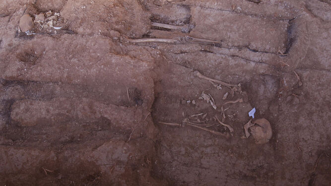 Restos humanos encontrados en la fosa común de Pico Reja.
