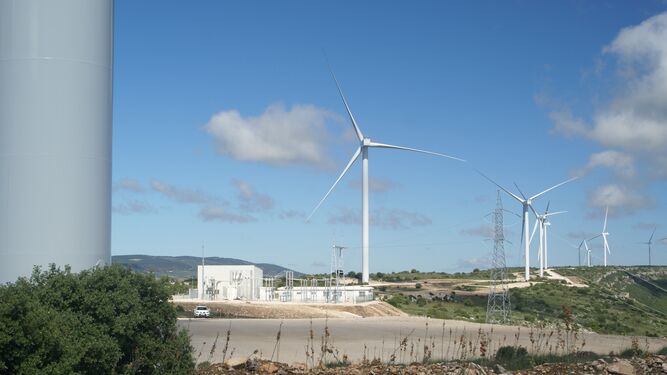 Aspecto de una de las 1.200 plantas eólicas de Endesa que hay en España.