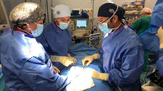 El Dr. Ángel Horcajadas junto a su equipo durante una intervención de médula espinal.