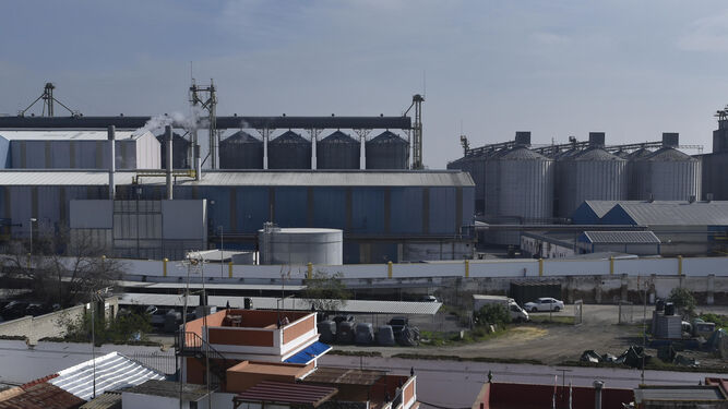 Las actuales instalaciones de Arrocería Herba, junto al Guadalquivir, en San Juan de Aznalfarache.