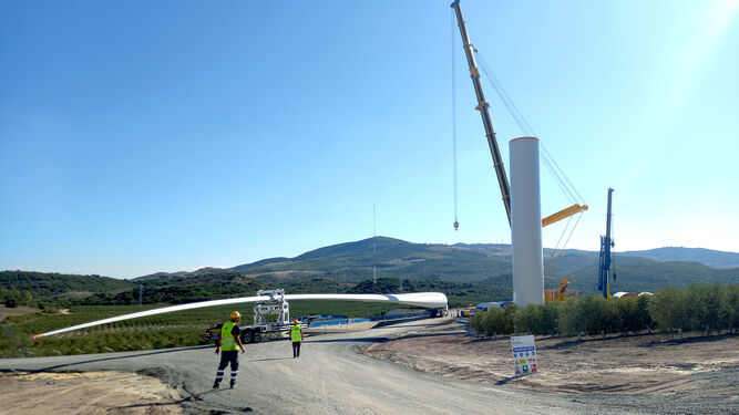 Llegada a la Loma de los Pinos, en Lebrija (Sevilla), de una de las palas de los siete aerogeneradores que se instalarán en el parque eólico.