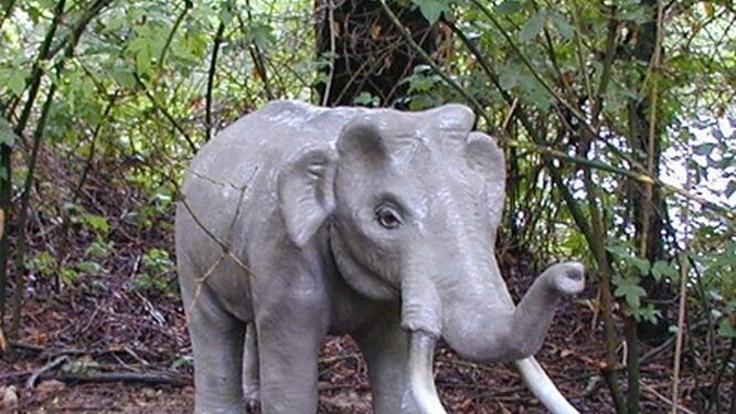 Este era el secreto de la longevidad del elefante enano de Sicilia