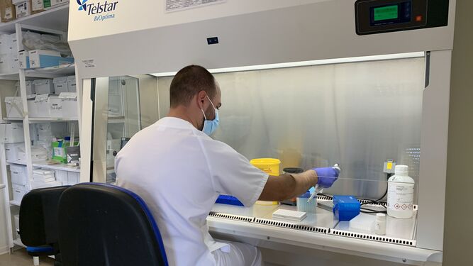 Personal del laboratorio de Microbiología del Hospital Virgen del Rocío durante el análisis y secuenciación de muestras de Covid.