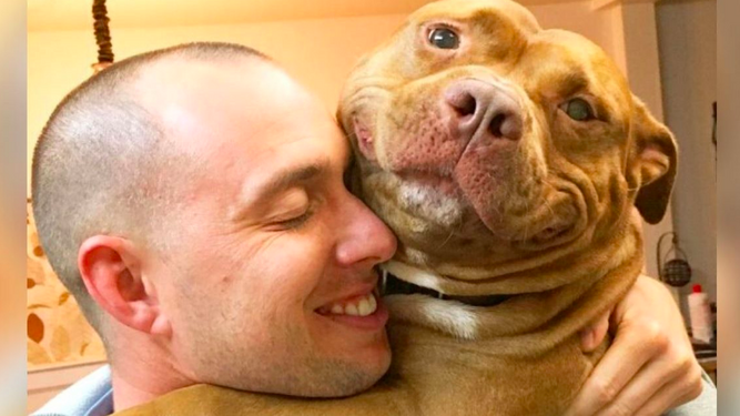 La sonrisa más bonita que muestra este pitbull al ser adoptado