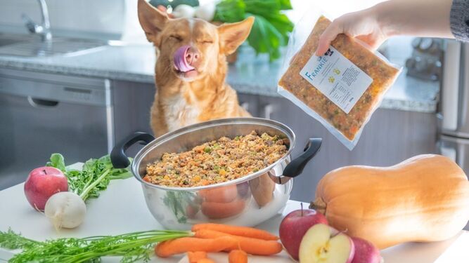 El fenómeno que está de moda: Cambiar el pienso a la comida natural cocinada para tu perro