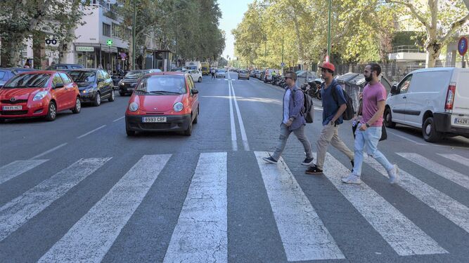 La avenida Reina Mercedes donde se localiza el campus de la Universidad de Sevilla.