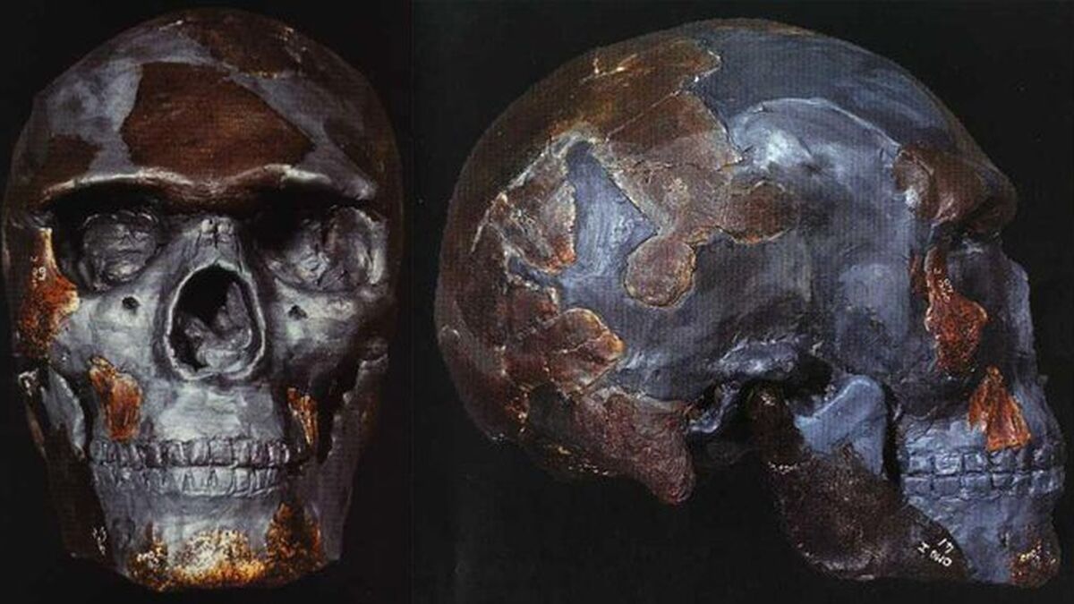Los restos más antiguos de Homo sapiens son de hace más de 230.000 años