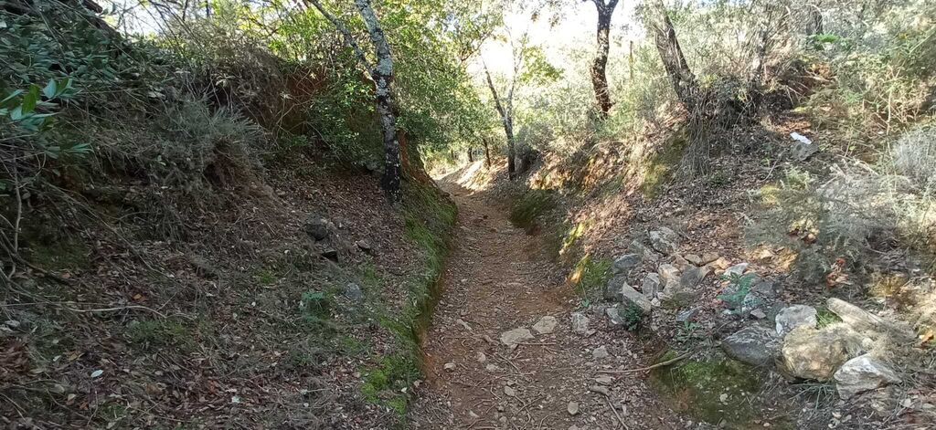 Fotos de la Ruta circular Aracena-Linares de la Sierra-Aracena