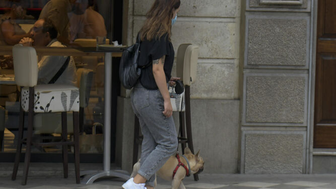 Una mujer paseando a su perro