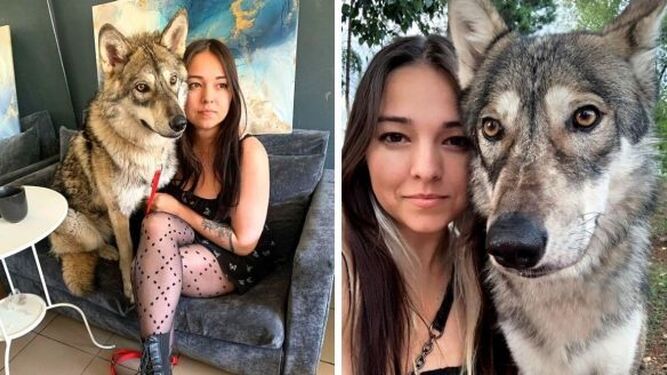 Una chica adopta a un lobo huérfano y se convierten en amigos inseparables