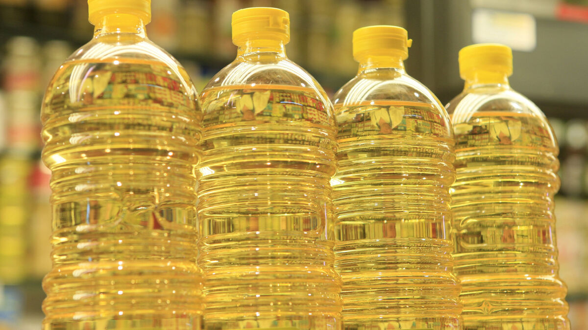 El tipo de aceite de girasol recomendado por expertos para cocinar de  manera más saludable