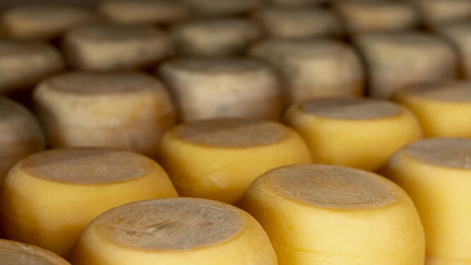 Retiran del mercado varios quesos distribuidos en Málaga por la presencia de listeria