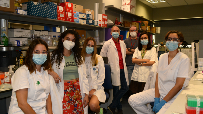 Investigadores del grupo 'Biología Molecular del Cáncer' del IBiS en el laboratorio.