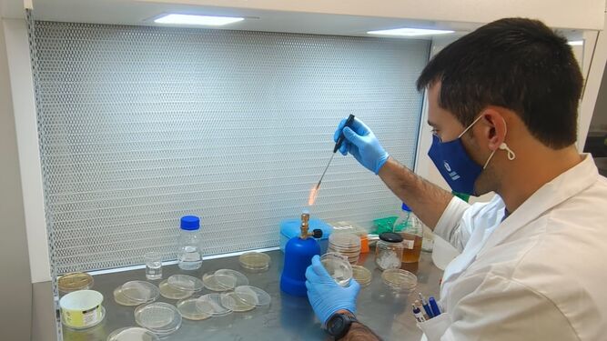 Heroga Group estrena nuevo laboratorio de biotecnología.
