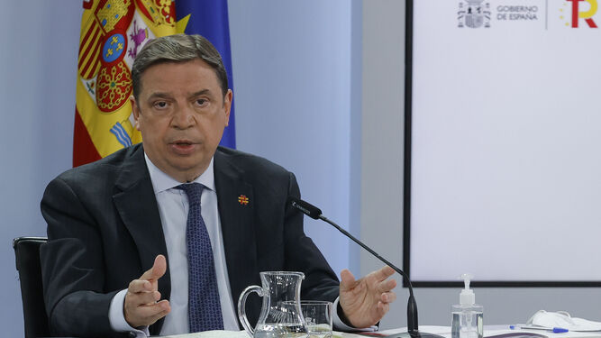 Luis Planas, en la rueda de prensa posterior al Consejo de Ministros