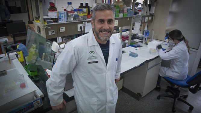 El investigador que dirige el estudio sobre la nueva terapia en el IBIS, Manuel Sarmiento.