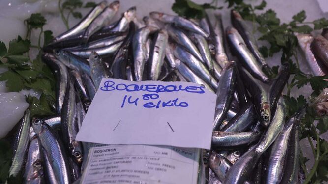 El pescado azul sigue faltando o está muy caro en las pescaderías de Sevilla. En la imagen, mercado del Tiro de Línea, este martes.