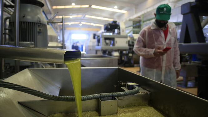 Planta de producción de aceite de oliva.