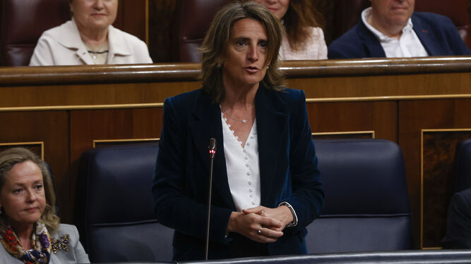 La vicepresidenta Teresa Ribera, este miércoles, en el Congreso de los Diputados.