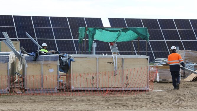 Trabajadores en un parque fotovoltaico en construcción