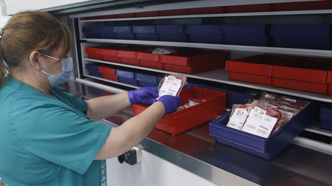 El sistema de almacenaje de la sangre en el CTS de Sevilla.