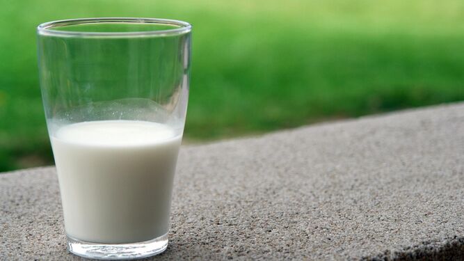 Cada tipo de leche contiene sus propias propiedades y beneficios
