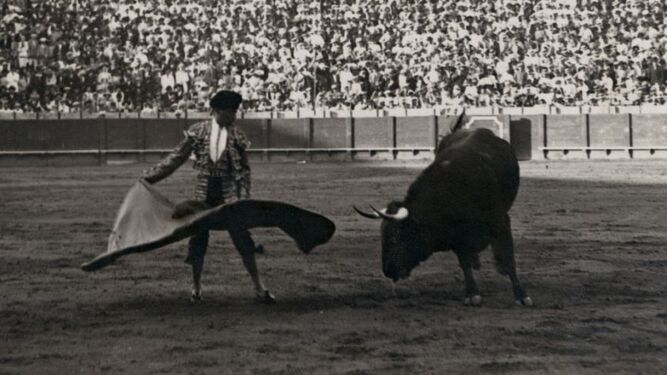 Rafael Gómez 'El Gallo' hace un remate de capa en la Real Maestranza (1915 – 1920).