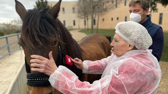 Una residente del centro de mayores Alconchel, de la Fundación Gerón, en Mairena del Alcor, durante una de las terapias con caballos ya celebradas.