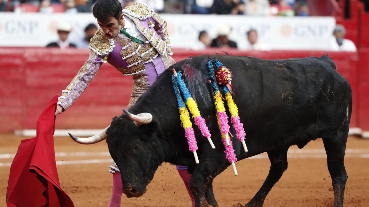 Un juez ordena suspender las corridas toros en tradicional Plaza México