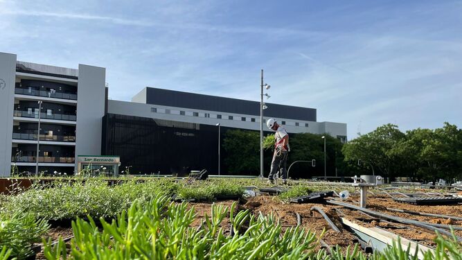 El Ayuntamiento  inicia los trabajos de jardinería en la cubierta y fachada de la bici estación de San Bernardo