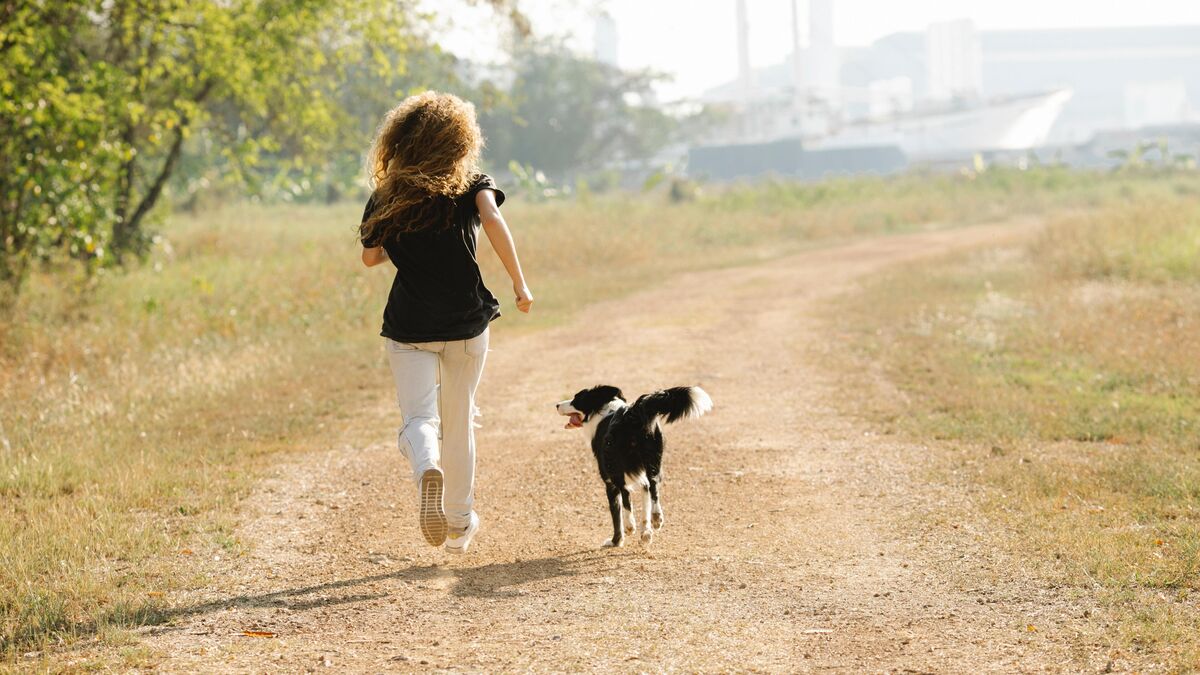 Salir a correr con perro es fácil correa que se adapta a los dos
