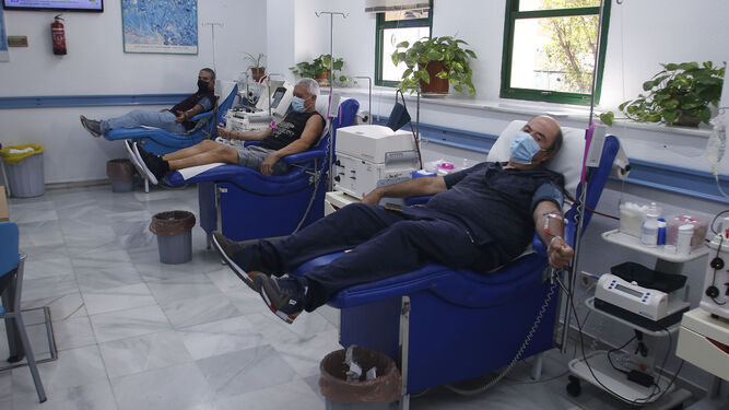 Varias personas donan sangre en el CTS Sevilla.