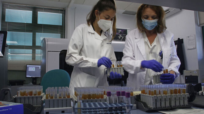 Dos profesionales manipulan muestras de componentes sanguíneos.