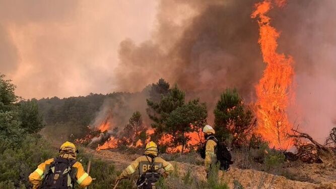 Imagen del incendio forestal en la Sierra de la Culebra, en la provincia de Zamora