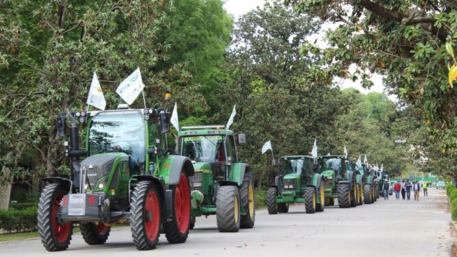 Imagen de archivo de una movilización de agricultores con tractores atravesando el Parque de María Luisa en Sevilla.