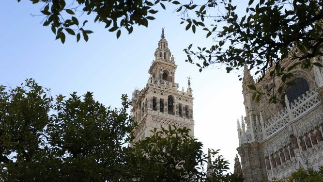 Las cuatro joyas secretas del patio de los naranjos de la Catedral de Sevilla