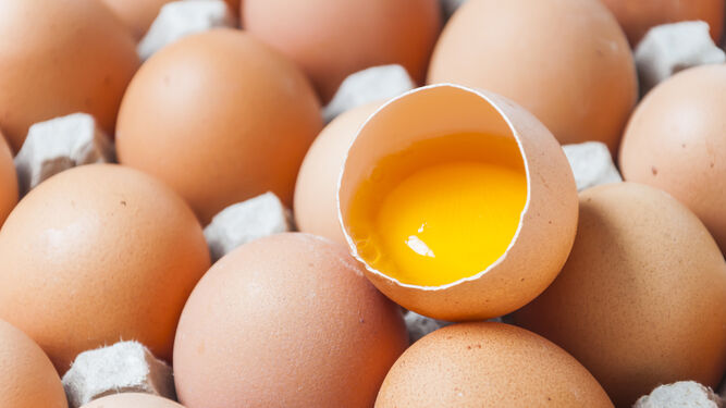 La parte desconocida del huevo que actúa como defensa ante virus y bacterias